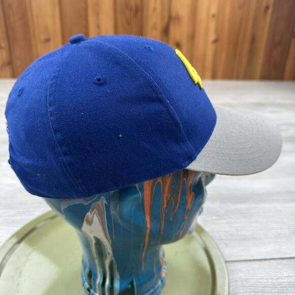 Jimmie Johnson Hat Strapback Blue Gray Kellogs Racing #48 3D Nascar - Picture 5 of 7